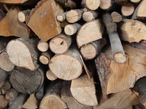 stacked firewood